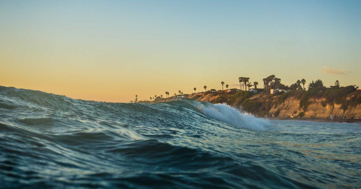 Beyond the Multivitamin: How to Choose Supplements That Actually Work for Your Body