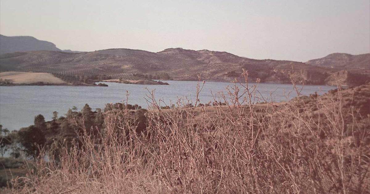 Active Recovery Essentials: What to Do on Your Rest Days to Maximize Fitness Gains