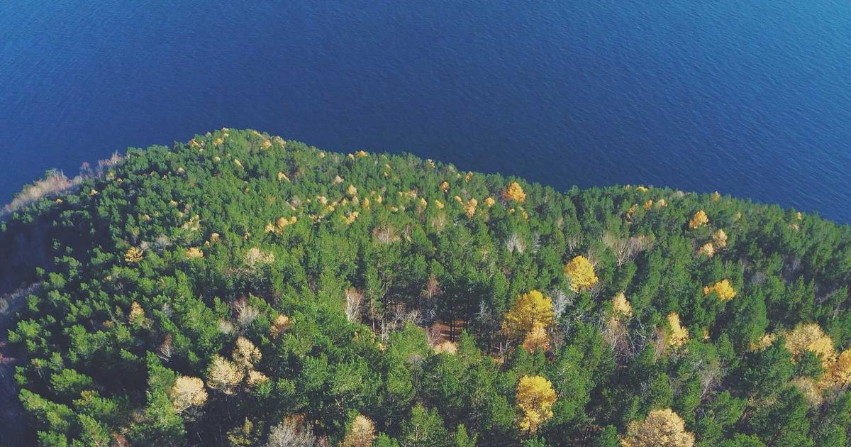 Strength Training After 40: A Practical Guide to Building Muscle and Protecting Joints