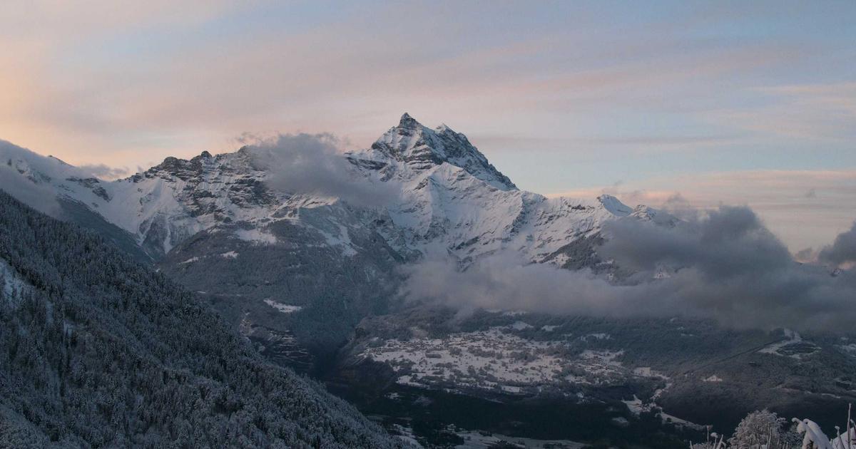 The Gut-Brain Axis: How Your Digestive Health Directly Impacts Your Mood and Mental Clarity