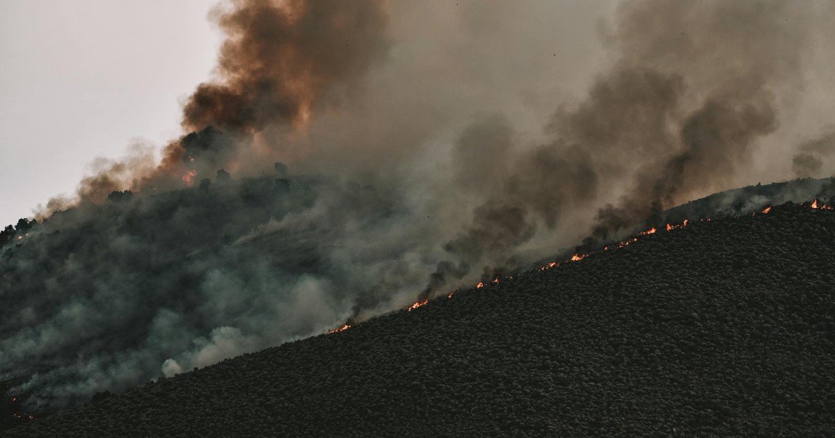 Navigating Wildfire Smoke: A Practical Guide to Protecting Your Health and Home