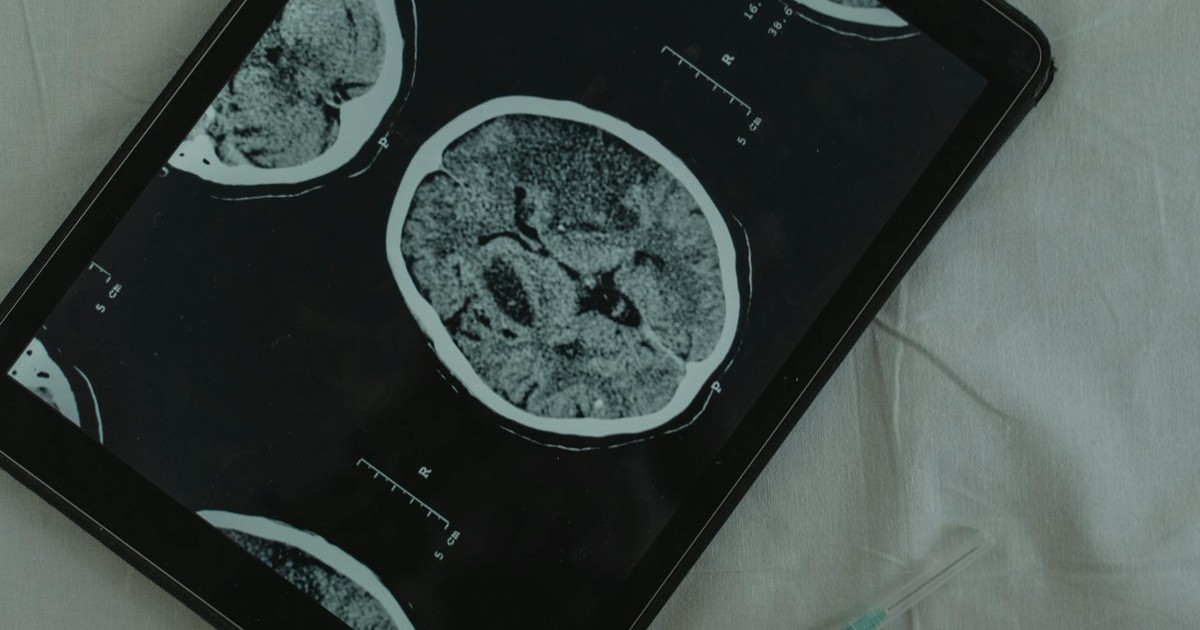 Could Your Job Protect Your Brain? New Research Links Navigation Work to Lower Alzheimer’s Risk